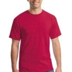 Premium Cotton T-Shirt